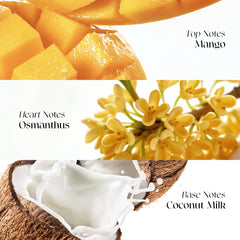 Sweet Haze Fragrance Essence