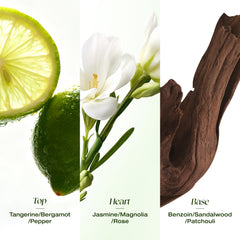 Jasmine Veil Fragrance Essence